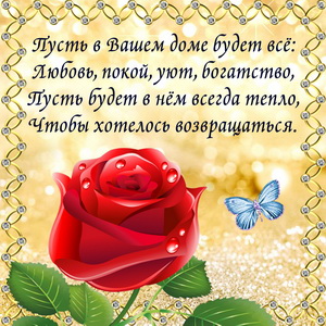 Красная роза и приятное пожелание в рамке