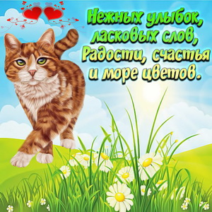 Картинка с рыжим котом и пожеланием
