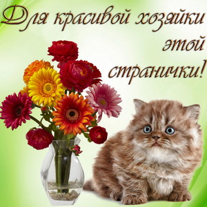 Красивый котик и букет цветов