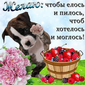 Собачка и корзинка с ягодами